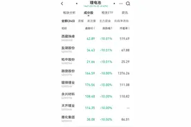 “基金大跌”冲上热搜第一，新能源股批量跌停后行情终结了？图片