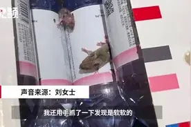 女子网购矿泉水包裹里竟爬出2只活老鼠，天猫超市回应图片