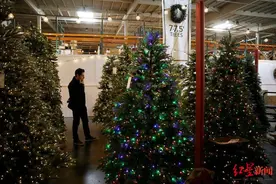 港口货船拥堵、集装箱平均运价翻4倍…美国圣诞树价格暴涨图片