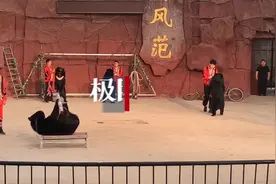 鹿猴同居一院，新添了游乐场！武汉九峰森林动物园等你来解锁惊喜图片