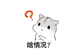 抓捕现场曝光！一出租屋女子内衣频频失窃，监控拍到了这一幕...图片