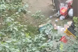 丧心病狂！男子将孩子从29楼扔下，还捅伤孩子妈妈！警方通报来了图片