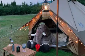 青岛这个动物世界有点野，露营满分！（文末送票）图片