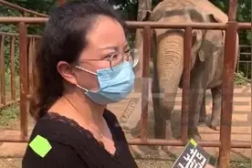 焦作森林动物园称幼象拴铁链训练“未虐待”，专家：违背动物天性图片