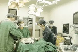 为什么儿科不是“小儿科”，这里或许有答案 | 睡前聊一会儿图片