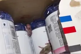 女子网购矿泉水出现活老鼠！天猫超市回应图片
