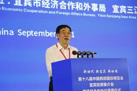 中国能源建设集团总经理孙洪水：西南区域总部已落户成都，西南投资公司争取尽快挂牌图片