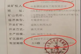 山东济宁矿山综合整治不力 督察整改责任不落实图片