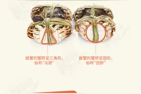 又到吃蟹季 教你食用螃蟹的正确“姿势”图片
