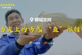 我家住在黄河边丨大饱口福！当东阿阿胶遇上黄河鲤鱼，速来get“阿胶鱼”新吃法图片