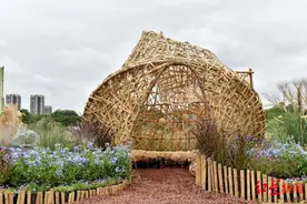 7万盆花绽放，粉黛也开了！快来成都青龙湖打卡图片