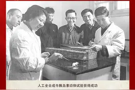 1965年的今天，中国科学家在世界上首次人工合成牛胰岛素图片