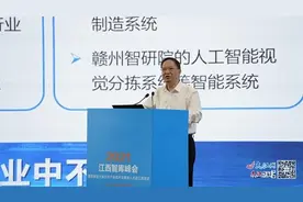 重塑“江西制造”辉煌 王耀南为江西数字经济转型献策图片