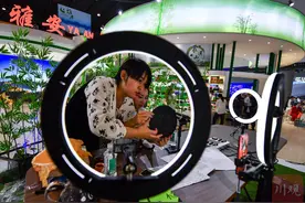 组图丨直播带货上了西博会 足不出户买到八方好货图片