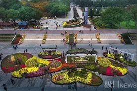 建设好湿地花城，武汉江岸区5年内打造2个亮点片区和1个花漾街区图片