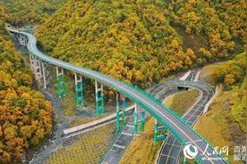 “青海最美公路”秋意怡人图片