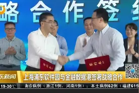 上海浦东软件园与金融数据港签署战略合作视频封面