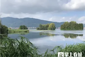 快来！昆明这两个“亲民湿地”，景美、好玩、离家近图片