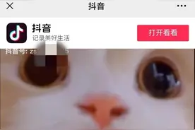 微信私聊时可以访问外部链接了，互联网互联互通正在进行图片