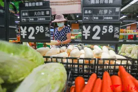 厦门：全力守护“菜篮子”，稳市场保供应图片