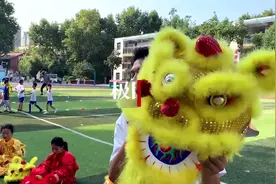 好可爱！这群奶萌小“狮子”上演狮王“争霸”赛图片