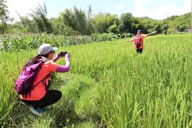 视频 | 首探肇庆广宁古水河郊野径，途中偶遇七彩祥云图片