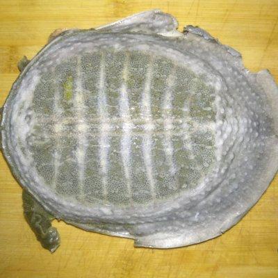 你做的清炖甲鱼汤，和饭店大厨相比，只差这一步
