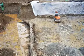 四川惊现超3000年罕见乌木图片