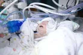 3000里的生命大抢救！四省联动护送重病新生儿至河南救命图片