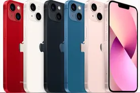 苹果十三香？图片