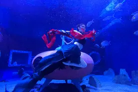 极地馆中秋添节目：能观“水下嫦娥”，还给报销地铁票图片