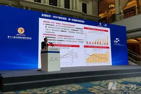 京东科技首席经济学家沈建光：发展数字经济是实现“双碳”目标的“最优解”图片