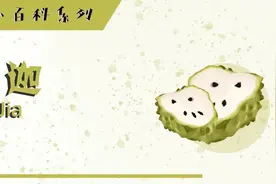 进口水果小百科系列图片