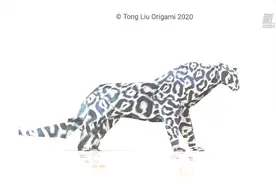 我和生物多样性的故事 | 刘通：用折纸艺术留住生物多样性图片