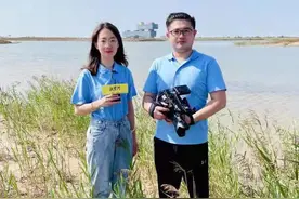 东营 | 黄河入海口：打造大江大河三角洲生态文明图片