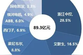 21深度丨中概股和利时私有化新变局：浙江龙盛半路杀出，核心技术或失控国家战略产业安全面临大考？图片