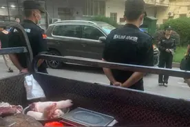 300多斤猪肉送福利院，城管执法岂能如此任性图片