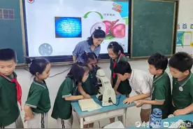 将显微镜搬进课堂，家长课堂带同学们开启科普之旅图片
