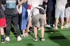 迎新晚会上大一新生偷拍女孩裙底被当场抓获！学校回应：已劝退图片