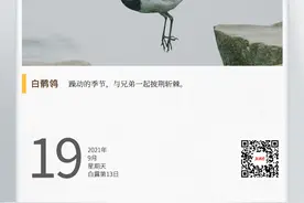 湖湘自然历丨行走江湖最讲“道义”图片