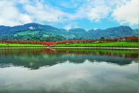 巴南区1800亩主城最大“红枫”圣地等你来浪漫打卡图片