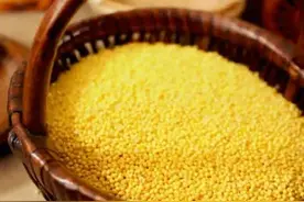 黄米和小米有啥区别？你会区别吗图片