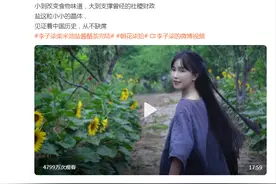 全球粉丝超1亿！“把自己卖了还给别人数钱”？顶级网红李子柒突然停更2个多月，还秒删“资本真是好手段”，发生了什么？图片