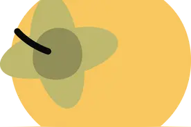 鲜花盛开的村庄｜宁安小朱家村 最是江畔好光景图片