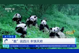 中国粮仓丨“数”说四川，丰饶天府！四川25种农产品产量全国第一图片