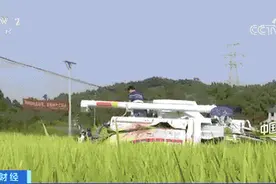 中国粮仓丨两台收割机60万元他说值！山地丘陵遍布的四川，大型农机也大显身手图片