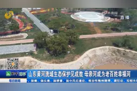 山东黄河流域生态保护见成效 母亲河成为老百姓幸福河视频封面