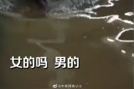 为爷爷点赞！70岁老人跳河救150斤重小伙图片