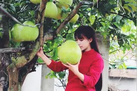关于“李子柒事件”，普通人应该怎么看图片