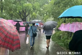 千佛山相亲大数据出炉：“双向奔赴”成年轻人相亲热词图片